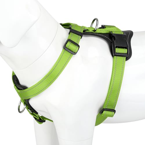No Pull Dog Harness with Leather Accents (L / Green)