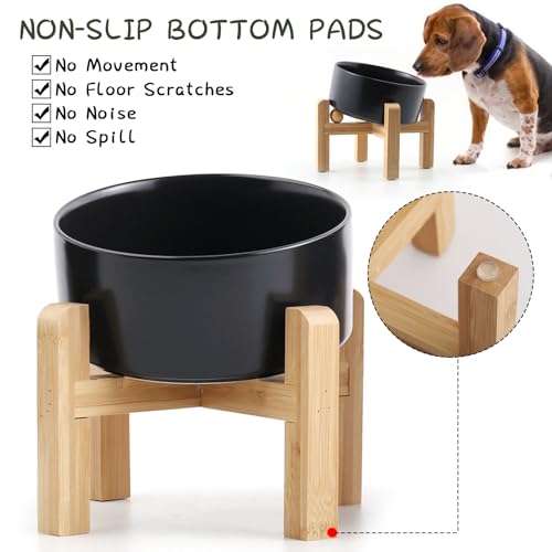 Black Elevated (Black / 3.6 CUPS - Medium Dog Bowls)