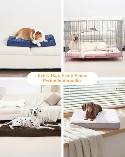 Orthopedic Dog Bed (Light Grey / 29.0"L x 18.0"W x 3.0"Th)