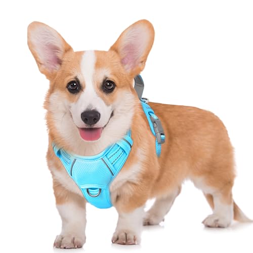 No Pull Dog Harness Large Reflective Dog Harness with Front Clip and Easy Control Handle for Walking Training Running with ID tag Pocket (Blue / Medium)