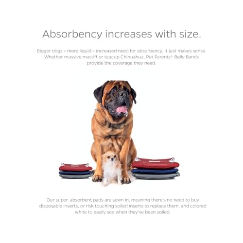 Washable Belly Bands for Male Dogs (X-Large (25-34") / Kingsmen)