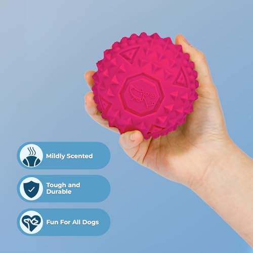 Squeaky Dog Toys with Soft Durable Fabric for Small (Fuchsia / Large)