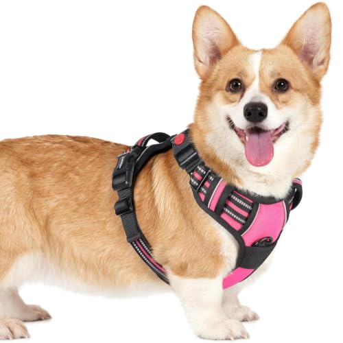 Dog Harness Small Sized (Small / Rose Pink)