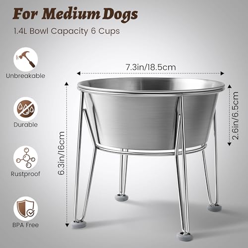 Elevated Dog Bowls for Medium&Small Dogs (6 Cups / Raised Bowl)