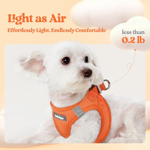 Dog Harness Medium Sized and Leash Set (Orange / M (chest: 16 - 18.5"))