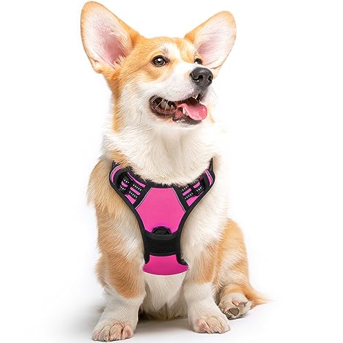 Dog Harness for Medium Sized Dogs (Medium / Rose Red)