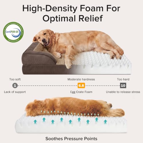 Jumbo Orthopedic Dog Bed for Extra Large Dogs (XL-PLUS (45"x 32"x 7.5") / Dark Brown)