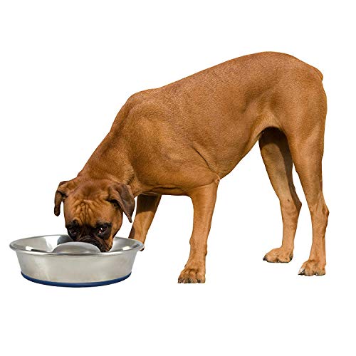OurPet's DuraPet Slow Feed Stainless Steel Dog Bowl (Large (6 Cups))