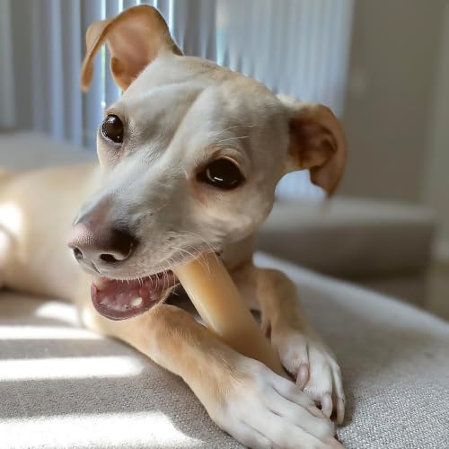 Power Chew Original Bone Dog Chew Toy (Medium)