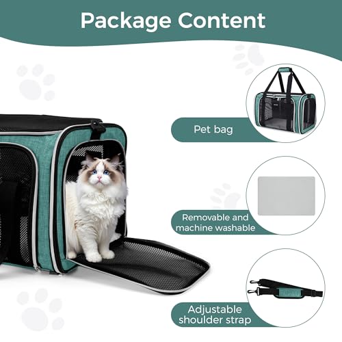 Pet Travel Carrier (Green / 17.0"L x 11.0"W x 12.0"H)