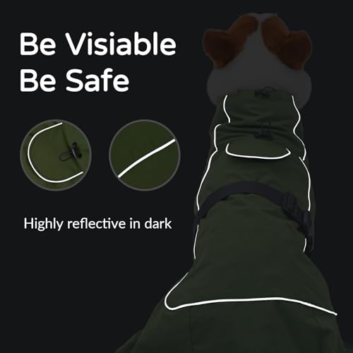 Waterproof Large Dog Raincoat (Green (Velvet Lining) / XL)