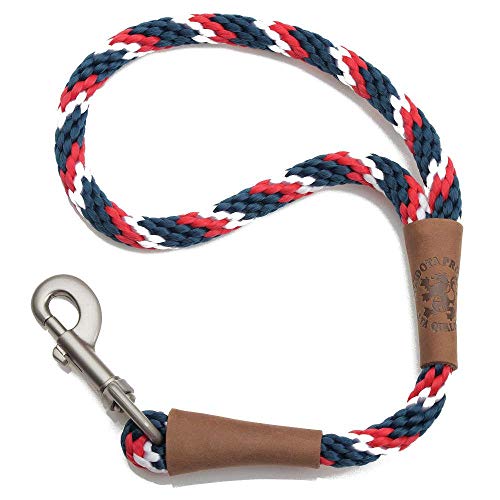 Traffic Leash (18 inches / Pride)