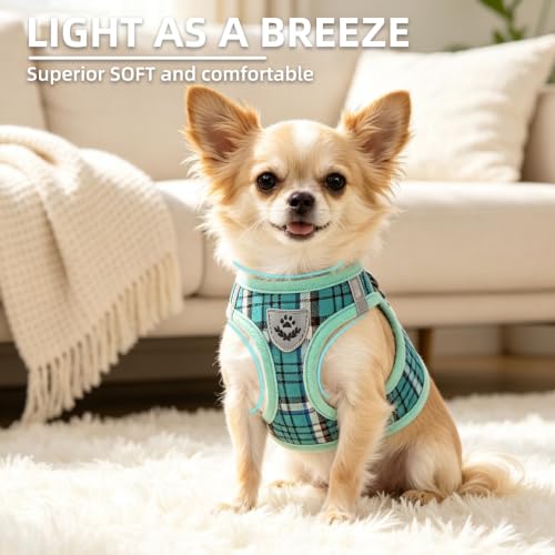 Dog Harness Collar and Leash Set No Pull for Small Medium Sized (Lake Green / XS (CHEST 13"-14.5"))