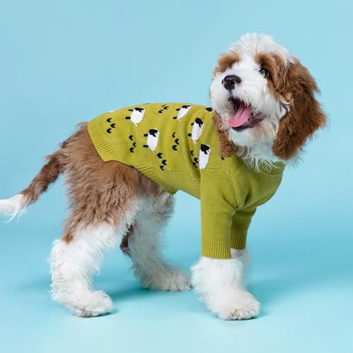 Funny Sheep Dog Sweater (Medium / Sheep)