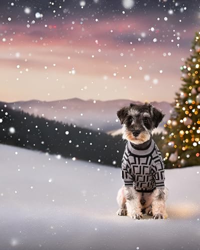 Dog Sweater for Small Dogs (X-Large)