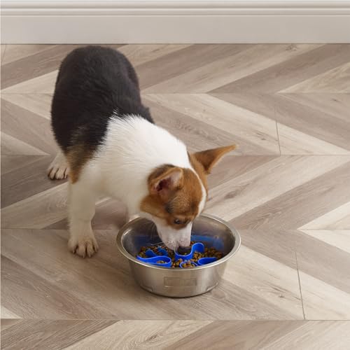 Fun Feeder Stainless Steel Slo Bowl for Dogs (Stainless Steel / Medium)