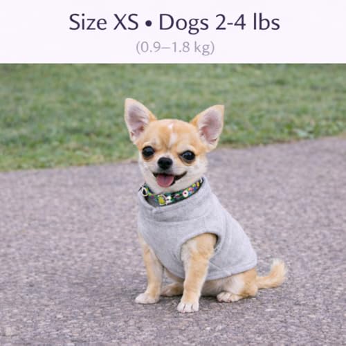 Dog Fleece Vest Sweater with Leash Ring (XS (2-4lbs) / Grey)