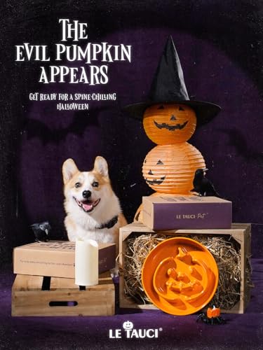 Ceramic Slow Feeder Dog Bowls Small Breed (Pumpkin Orange / S-0.6 Cups)