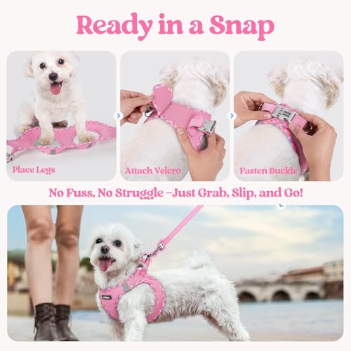 Dog Harness Small Sized and Leash Set (Pink & Plaid Trim / S (chest: 15.1 - 16.5"))