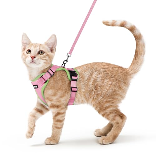 Cat Harness and Leash Set (Xs / Pink & Light Green)