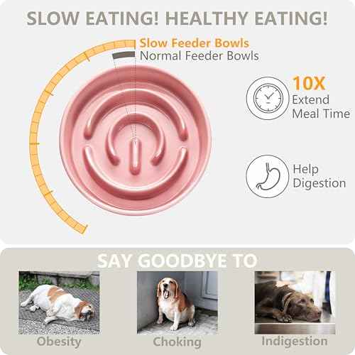 Ceramic Slow Feeder and Water Bowl Set for Small Dogs (Pink / 6" D)