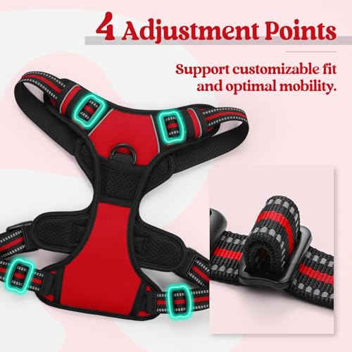 Dog Harness No Pull for Large Dogs with 2 Leash Clips (Large / Red)