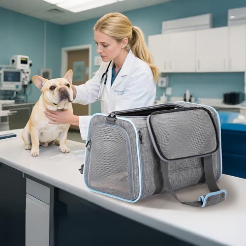 Large Expandable Cat Carrier for Travel (19.0"L x 12.0"W x 12.0"H / Light Gray)