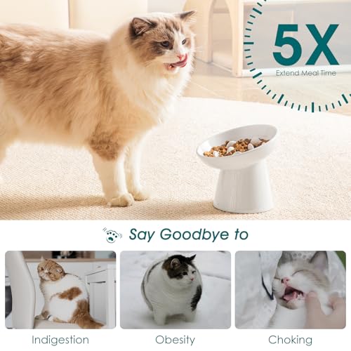 Ceramic Slow Feeder Cat Bowl (White)