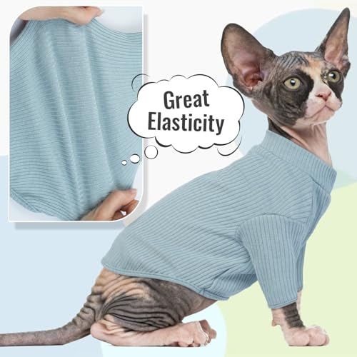 Hairless Cat Shirt (Medium / Blue)