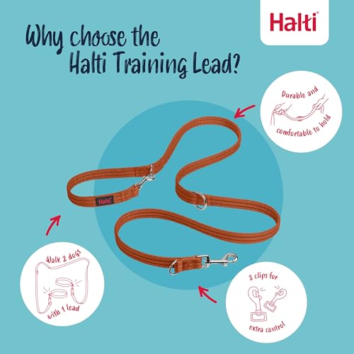 Training Dog Leash (Small / Burnt Orange)