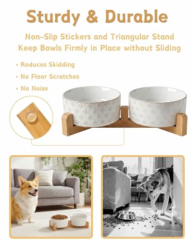Ceramic Dog Bowl Set of 2 with Wood Stand (M-3.5 Cups / 02-Clover & Daisy)