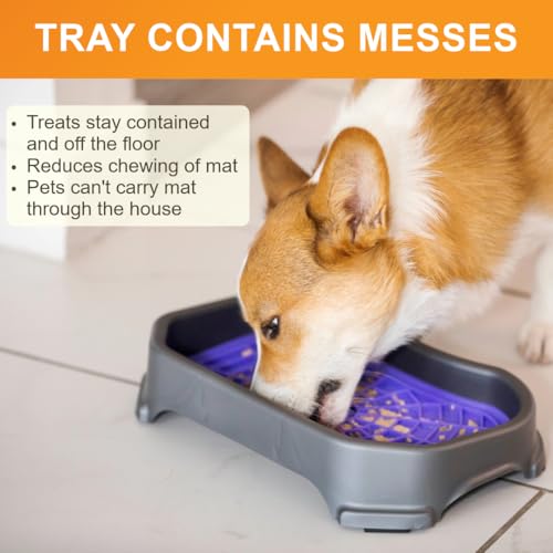 Neater Pets Neat (Purple & Green Mats w/ Gunmetal Tray)