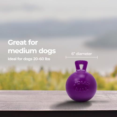 Tug-n-Toss Heavy Duty Dog Toy Ball with Handle, 6 Inches/Medium, Purple (Purple / Medium (6 in))