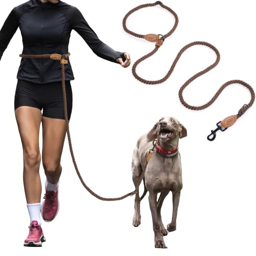 Hands Free Dog Leash (Dark Brown / 8FT Hands Free)