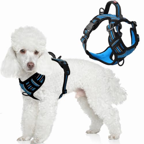 Dog Harness No Pull with ID Tag Pocket (Small(Chest:19.5-26”) / Blue/Black)