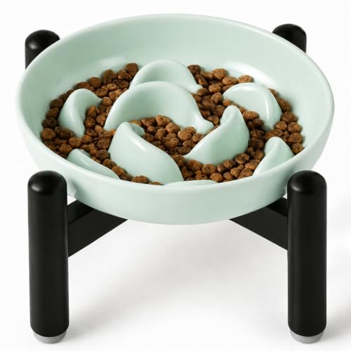 Elevated Slow Feeder Cat Bowl (Green + Metal Stand / 9"H)