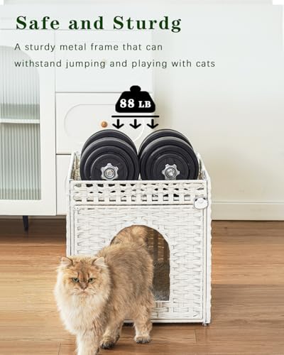 Cat Houses for Indoor Cats Extra Large Double Cat Cave (White / Rectangle-XL)