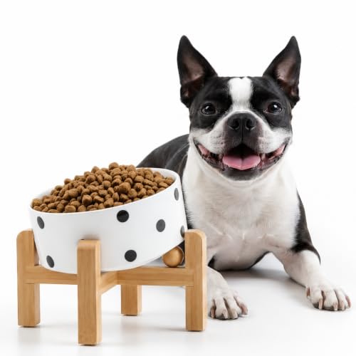 Raised Elevated 15°Slanted Ceramic Dog Bowl for Small Breeds (Black Dot / 1.7 CUPS - Puppy/Small Dogs & Cat Bowls)