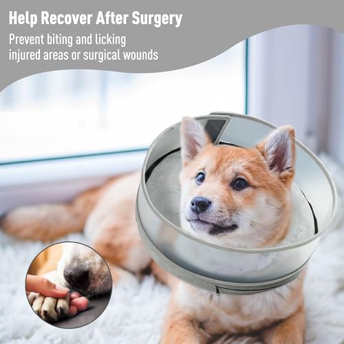 Inflatable Dog Cone (S / Gray)