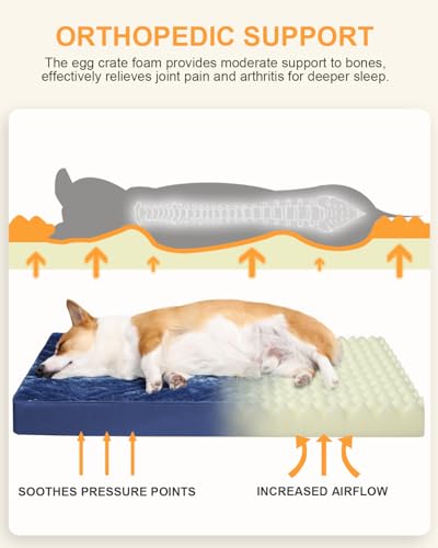 Orthopedic Dog Bed for Small Dogs with Waterproof Lining (Blue / 23.0"L x 17.0"W x 3.0"Th)