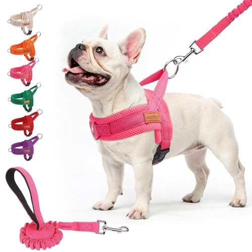 Dog Harness Medium Sized and Leash Set (Dark pink / M: Chest 21"-26.7")