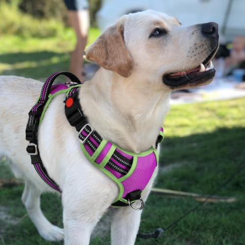 Dog Harness for Large (Purple & Light Green / Large)