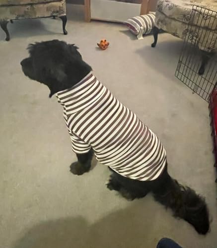 Turtleneck Dog Shirt Cute Doggie Embroidery Super Soft Dog Sweatshirt Stretchy Striped Puppy Pullover for Cats Small Medium Large Dogs (Brown Striped / XXXX-Large)