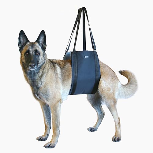 Dog Lift Support and Rehab Harness for Dogs with Weak Rear Legs (Medium)