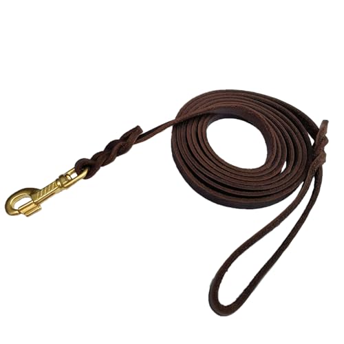 Leather Dog Leash (4ft x 1/2 inch / Brown)