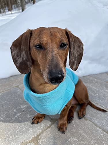 Zip Up Fleece Dog Sweater (Small chest (~13.5") / Turquoise)