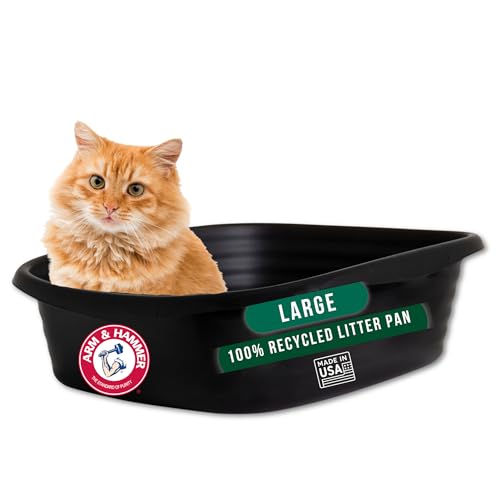 Simply Recycled Plastic Cat Litter Pan (Large / Recycled)