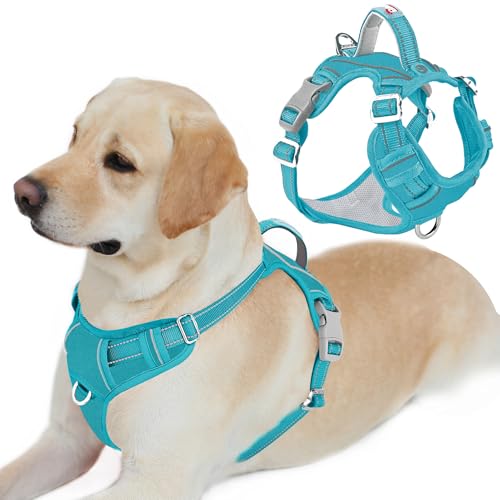 No Pull Dog Harness for Large Dogs (Large(Chest:24.5-32.5") / Aqua-Oxford)