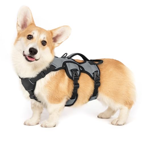 Escape Proof Dog Harness for Small (Grey / Small)