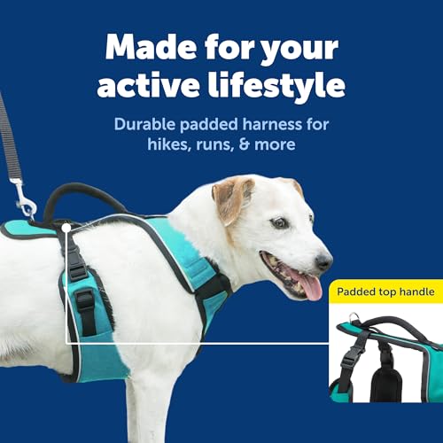 EasySport Dog Harness (Small / Teal)